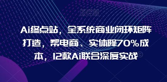 Ai终点站，全系统商业闭环矩阵打造，帮电商、实体降70%成本，12款Ai联合深度实战【0906更新】,速发云资源网