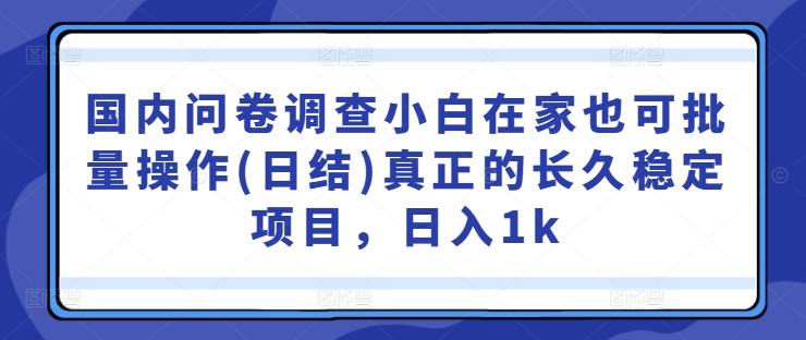 国内问卷调查小白在家也可批量操作(日结)真正的长久稳定项目，日入1k【揭秘】,速发云资源网