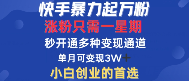 快手暴力起万粉,涨粉只需一星期,多种变现模式,直接秒开万合,单月变现过W【揭秘】,速发云资源网