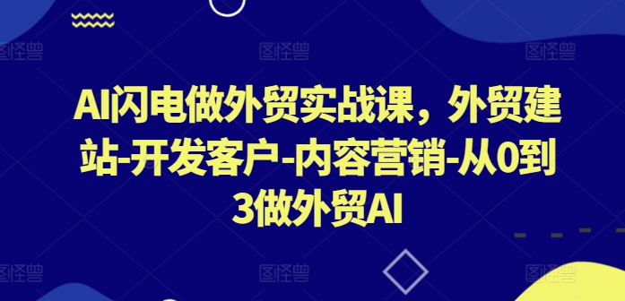 AI闪电做外贸实战课，​外贸建站-开发客户-内容营销-从0到3做外贸AI(更新),速发云资源网