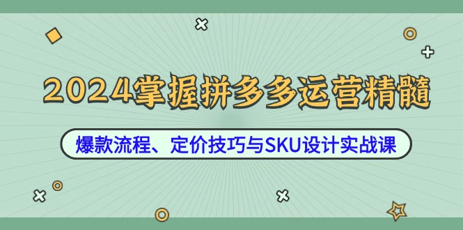 2024掌握拼多多运营精髓：爆款流程、定价技巧与SKU设计实战课,速发云资源网
