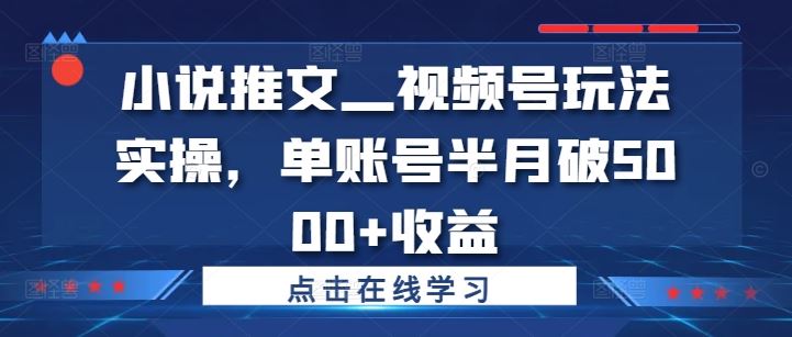 小说推文—视频号玩法实操，单账号半月破5000+收益,速发云资源网