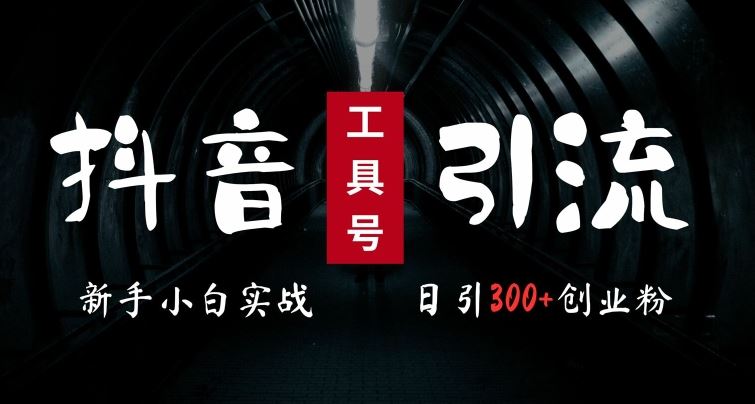 2024最新抖音工具号引流玩法，高效日引300+创业粉，当天变现5k，小白也可成为实战高手,速发云资源网