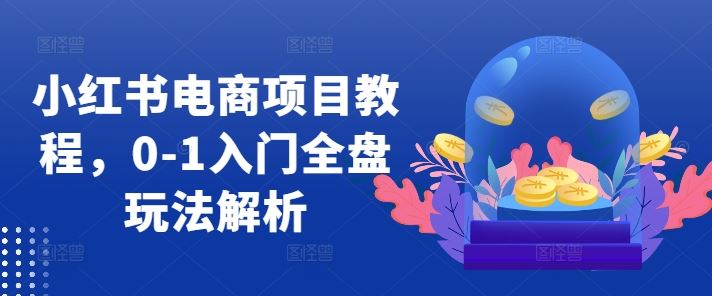 小红书电商项目教程，0-1入门全盘玩法解析,速发云资源网