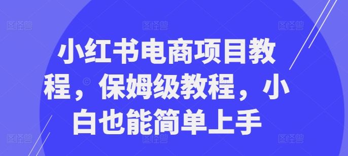 小红书电商项目教程，保姆级教程，小白也能简单上手,速发云资源网