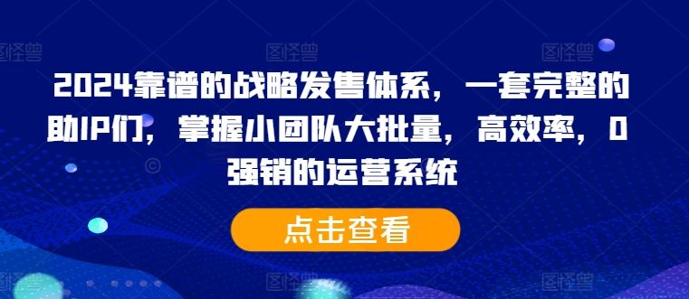 2024靠谱的战略发售体系，一套完整的助IP们，掌握小团队大批量，高效率，0 强销的运营系统,速发云资源网