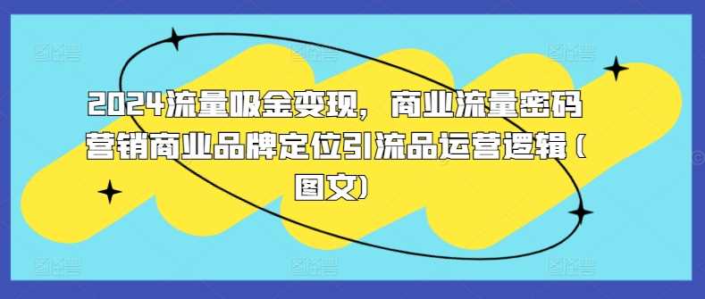 2024流量吸金变现，商业流量密码营销商业品牌定位引流品运营逻辑(图文),速发云资源网