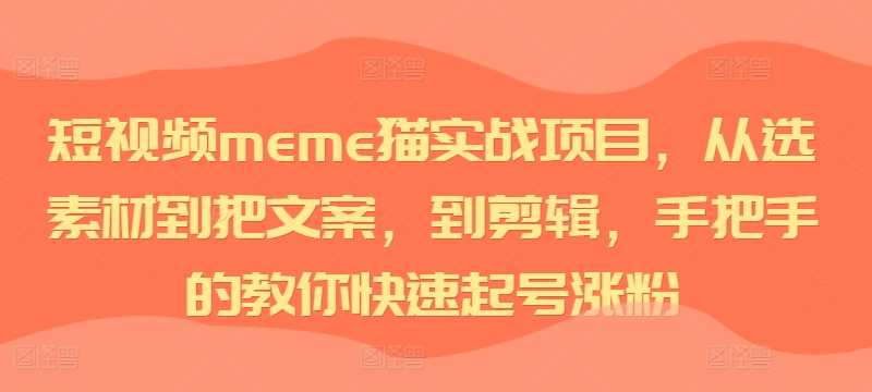 短视频meme猫实战项目，从选素材到把文案，到剪辑，手把手的教你快速起号涨粉,速发云资源网
