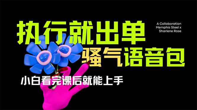 （14170期）爆火全网的开车导航骚气语音包,只要执行就出单，小白看完课程就能实操…,速发云资源网