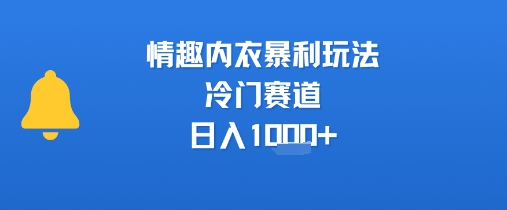 情趣内衣暴利玩法，冷门赛道，日入1k+,速发云资源网