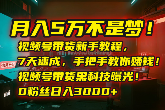 月入5万不是梦！视频号带货新手教程，7天速成，手把手教你赚钱！视频号…,速发云资源网