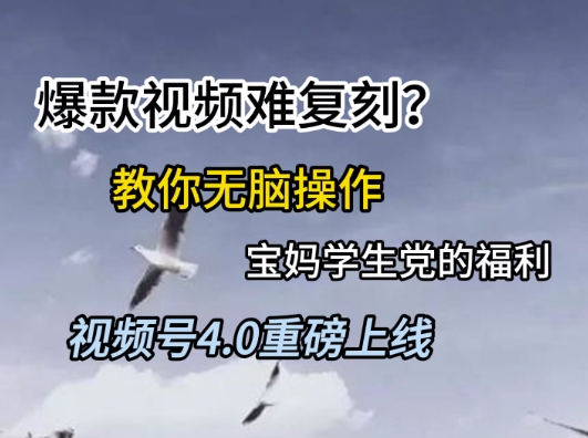 视频号4.0重磅上线，爆款视频难复刻？教你无脑操作宝妈学生党的福利【揭秘】,速发云资源网