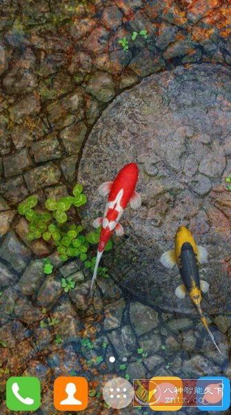 Water Garden Live Wallpaper 锦鲤3D动态壁纸2.05专业版,速发云资源网