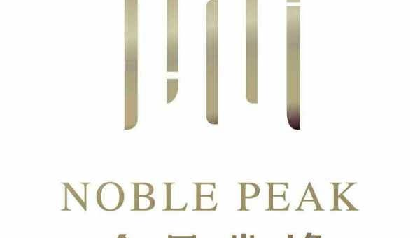 Chrome DevTools 层性能分析：复合层合并与渲染层爆炸预防,速发云资源网