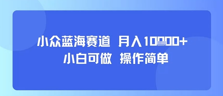 小众蓝海赛道，小白可做，操作简单，每天30分钟，月入1W+,速发云资源网