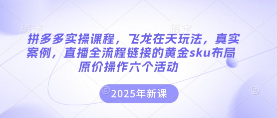 拼多多实操课程，飞龙在天玩法，真实案例，直播全流程链接的黄金sku布局原价操作六个活动,速发云资源网