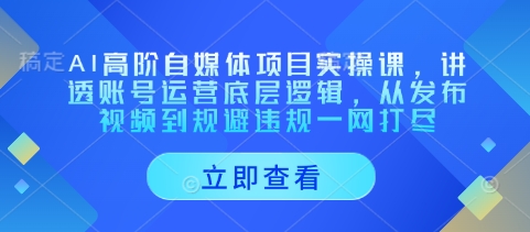 AI高阶自媒体项目实操课，讲透账号运营底层逻辑，从发布视频到规避违规一网打尽,速发云资源网