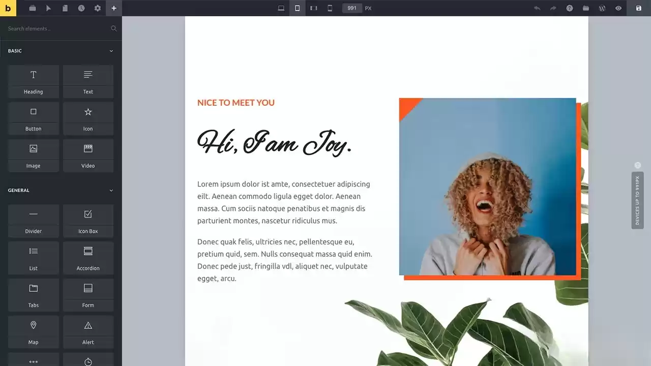 WordPress主题Bricks v1.9 破解版,速发云资源网