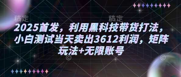 2025首发，利用黑科技带货打法，小白测试当天卖出3612利润，矩阵玩法+无限账号【揭秘】,速发云资源网