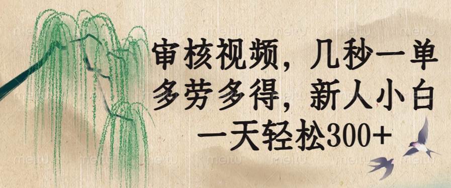 （14203期）审核视频，几秒一单，多劳多得，新人小白一天轻松300+,速发云资源网