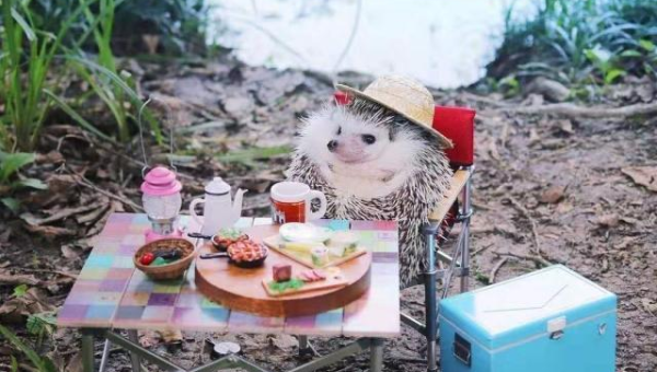 地质史上十大重要地质时期,速发云资源网