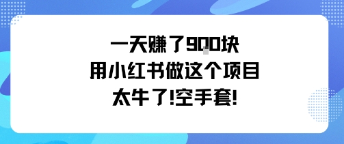 一天挣了9张用小红书做这个项目太牛了，空手套,速发云资源网