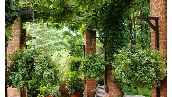 院子里搭个遮阳网种爬藤植物风水好吗,速发云资源网