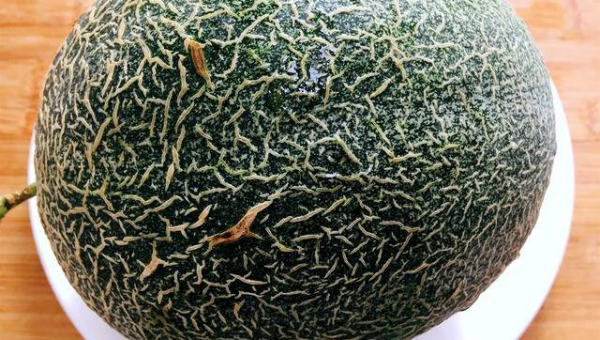 GitHub Copilot 多模态输出：生成 UML 类图与序列图,速发云资源网