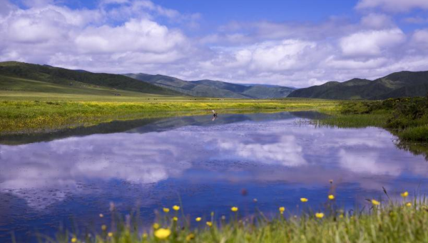 梦到在一个没有声音的世界里寻找旋律,速发云资源网