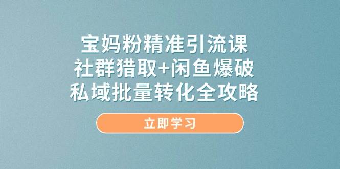 宝妈粉精准引流课，社群猎取+闲鱼爆破，私域批量转化全攻略,速发云资源网