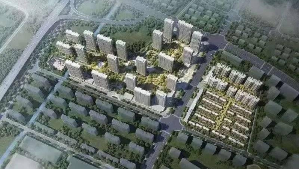 院子里种腊梅花风水怎么样,速发云资源网