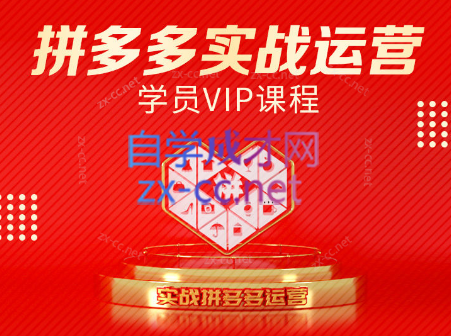 推易电商·拼多多实战运营课(更新2025月),速发云资源网