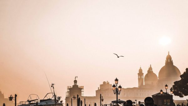 如何理解处女座在数据整理中的精确,速发云资源网