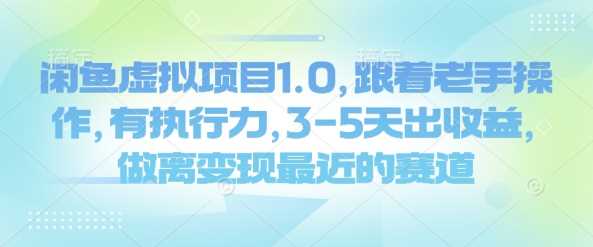 闲鱼虚拟项目1.0，跟着老手操作，有执行力，3-5天出收益，做离变现最近的赛道,速发云资源网