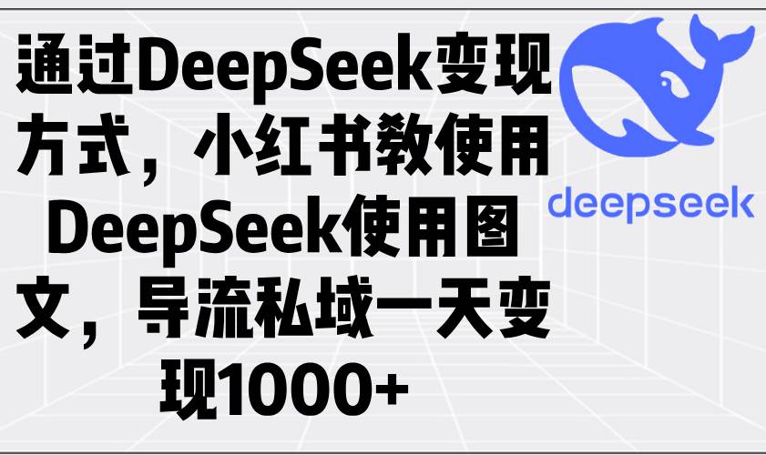 （14179期）通过DeepSeek变现方式，小红书教使用DeepSeek图文，导流私域一天变现1000+,速发云资源网