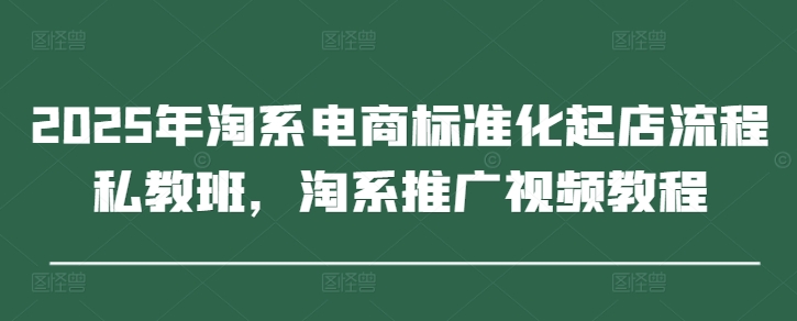 2025年淘系电商标准化起店流程私教班，淘系推广视频教程,速发云资源网