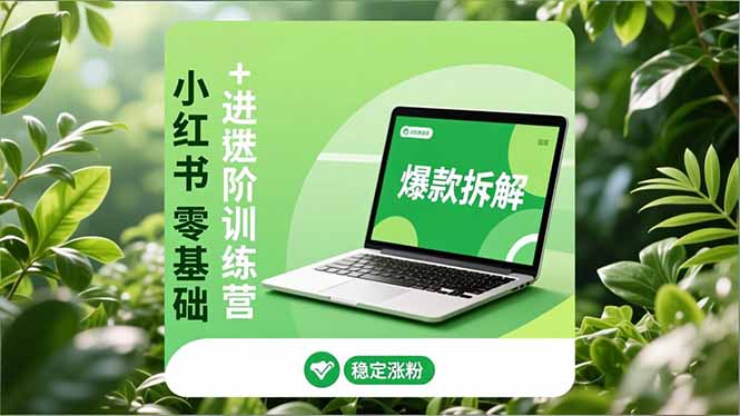 小红书零基础+高阶训练营：安全养号、爆款拆解、长效运营，实现稳定涨粉与变现,速发云资源网