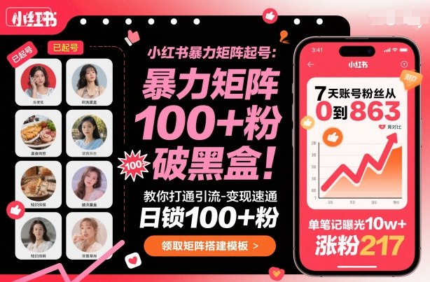 小红书暴力矩阵起号，教你打通引流-变现速通，日锁100+粉，破流量黑盒,速发云资源网