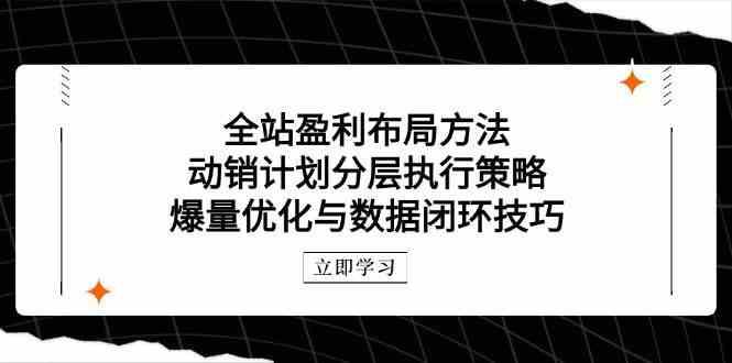 全站盈利布局方法：动销计划分层执行策略，爆量优化与数据闭环技巧,速发云资源网