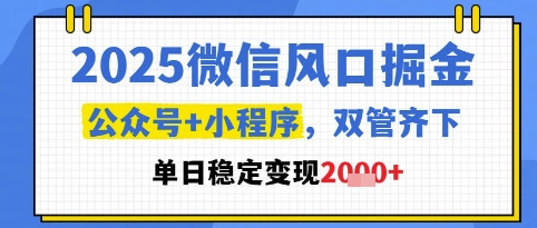 2025微信风口掘金，公众号+小程序双管齐下，单日稳定变现1k+【揭秘】,速发云资源网