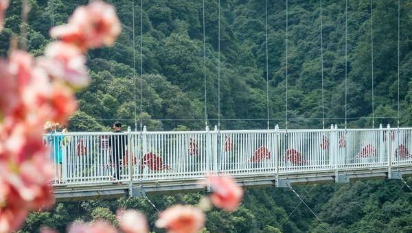 十大网红的成名之路剖析,速发云资源网