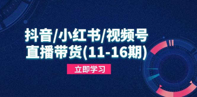 （14611期）抖音/小红书/视频号/直播带货(11-16期)，快速掌握平台规则，打造爆款内容,速发云资源网