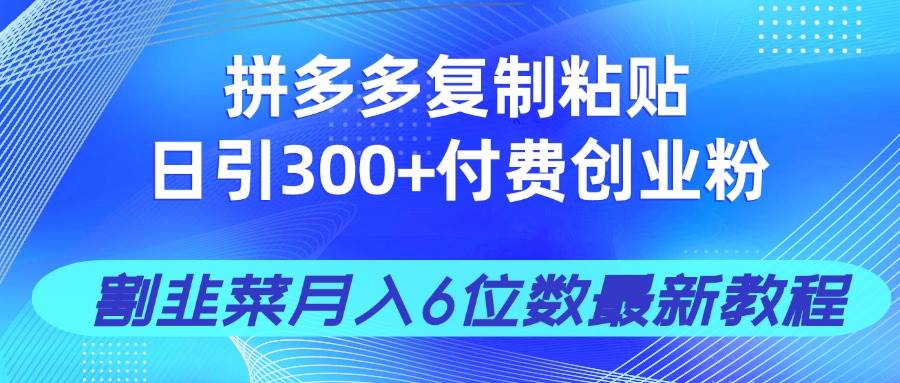 （14232期）拼多多复制粘贴日引300+付费创业粉，割韭菜月入6位数最新教程！,速发云资源网