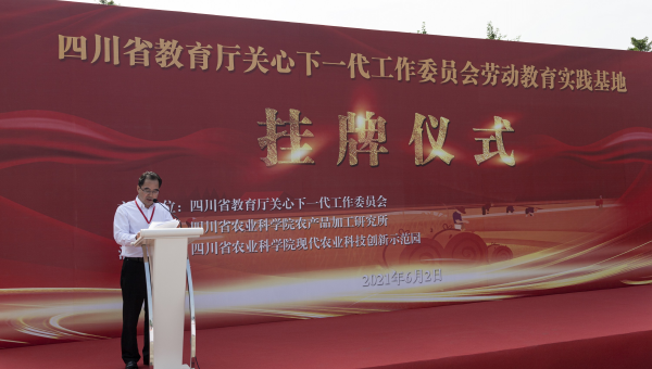 云环境下编程工具的应用与实践,速发云资源网