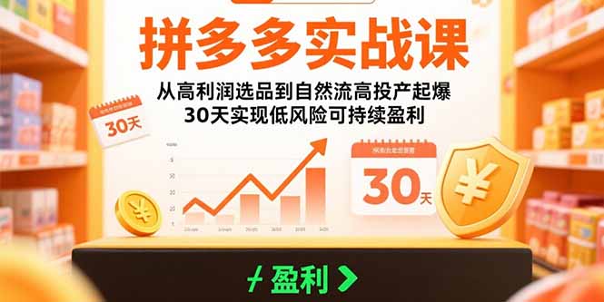 拼多多实战课：从高利润选品到自然流高投产起爆 30天实现低风险可持续盈利,速发云资源网