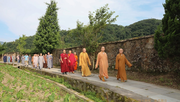 中国十大森林氧吧去处,速发云资源网