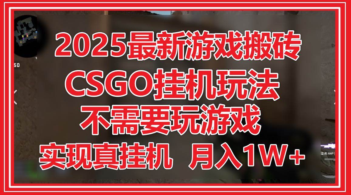 （14743期）2025最新游戏搬砖，CSGO挂机，不需要玩游戏，实现真挂机，月入1W+,速发云资源网