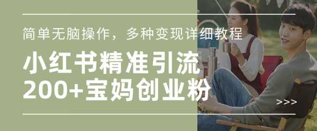 小红书混剪日引200+宝妈创业粉，简单无脑操作，多种变现详细教程,速发云资源网