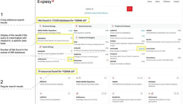 服务器选择攻略详细解读：匹配网站 SEO 需求,速发云资源网