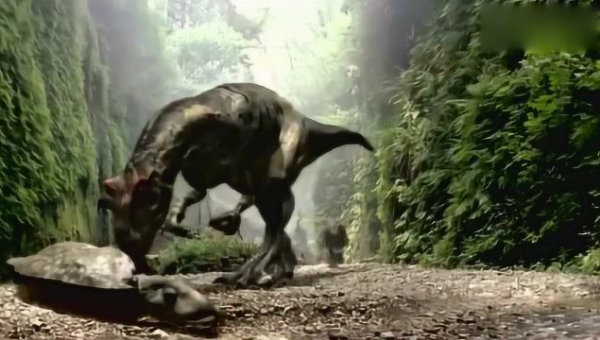 梦到自己与恐龙并肩同行，预示着什么？,速发云资源网